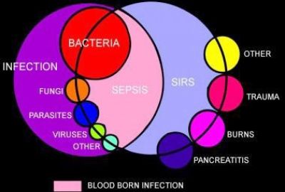 Hội chứng đáp ứng viêm hệ thống là gì ?